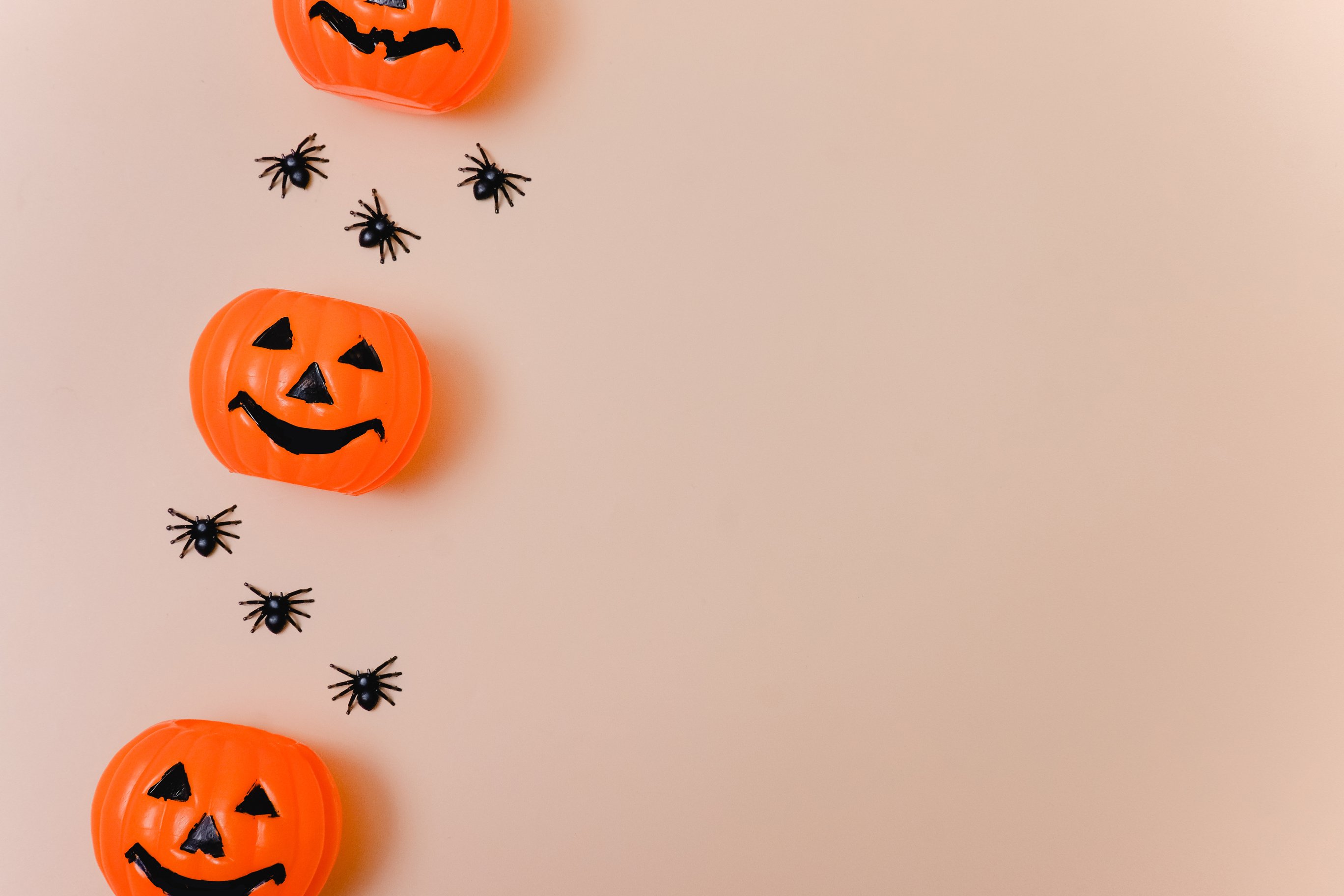 Pumpkins and Spiders Flatlay